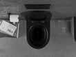 WC-pott Mexen Rico Rimless Slim Duroplast koos aeglaselt sulguva kaanega, Black matt/Silver lines цена и информация | WС-potid | kaup24.ee