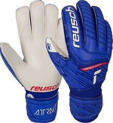 Вратарские перчатки Reusch Attrakt Grip Finger Support Jr 51 72 810 4011, синие цена и информация | Тренировочные перчатки. Размер 5 | kaup24.ee