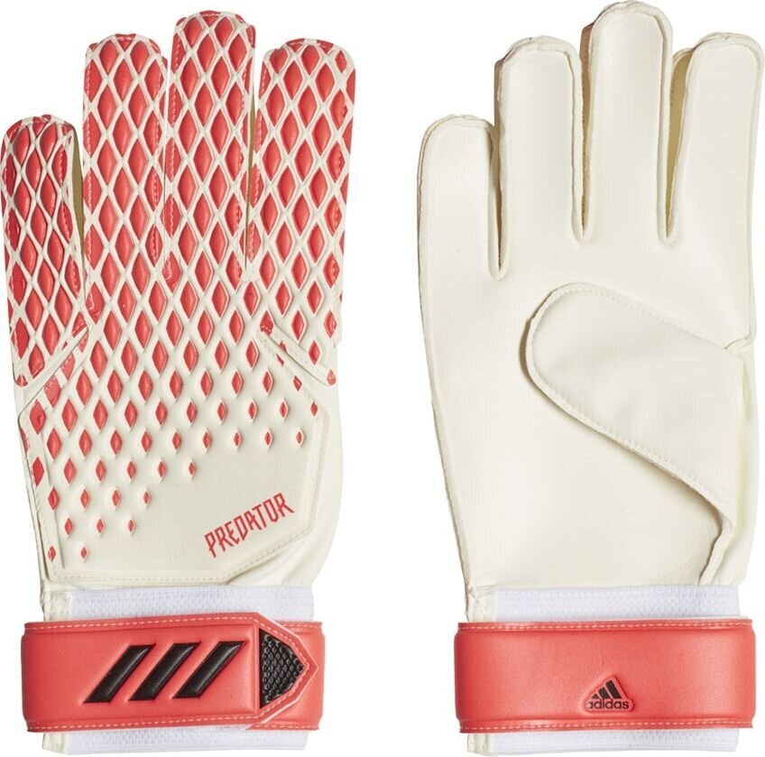 Väravavahi kindad Adidas Predator 20 Training FJ5989, valge hind ja info | Väravavahi kindad | kaup24.ee