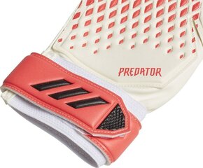 Вратарские перчатки Adidas Predator 20 Training FJ5989, белые цена и информация | Перчатки вратаря | kaup24.ee