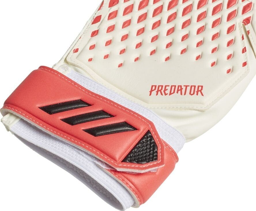 Väravavahi kindad Adidas Predator 20 Training FJ5989, valge hind ja info | Väravavahi kindad | kaup24.ee