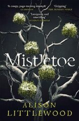 Mistletoe: 'The perfect read for frosty nights' HEAT цена и информация | Фантастика, фэнтези | kaup24.ee