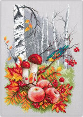 Tikkimiskomplekt Magic Needle "Autumn Harvest" 250-954 hind ja info | Tikkimistarvikud | kaup24.ee