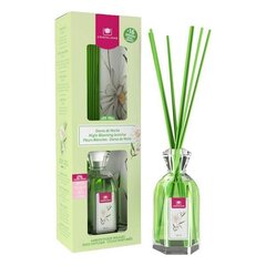Kodulõhnastaja pulkadega Night Blooming Jasmine Cristalinas Mikado, 180 ml hind ja info | Kodulõhnastajad | kaup24.ee