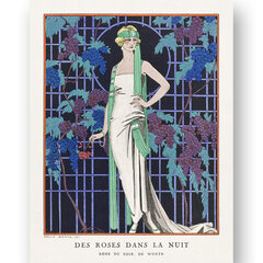 Plakat Art Deco II, 59x84 cm (A1), Wolf Kult цена и информация | Картины, живопись | kaup24.ee