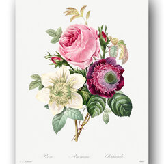 Плакат Винтажные цветы III, 42x59 см (A2), Wolf Kult цена и информация | Картины, живопись | kaup24.ee