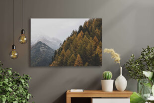 Плакат Осенний лес, 42x59 см (A2), Wolf Kult цена и информация | Картины, живопись | kaup24.ee
