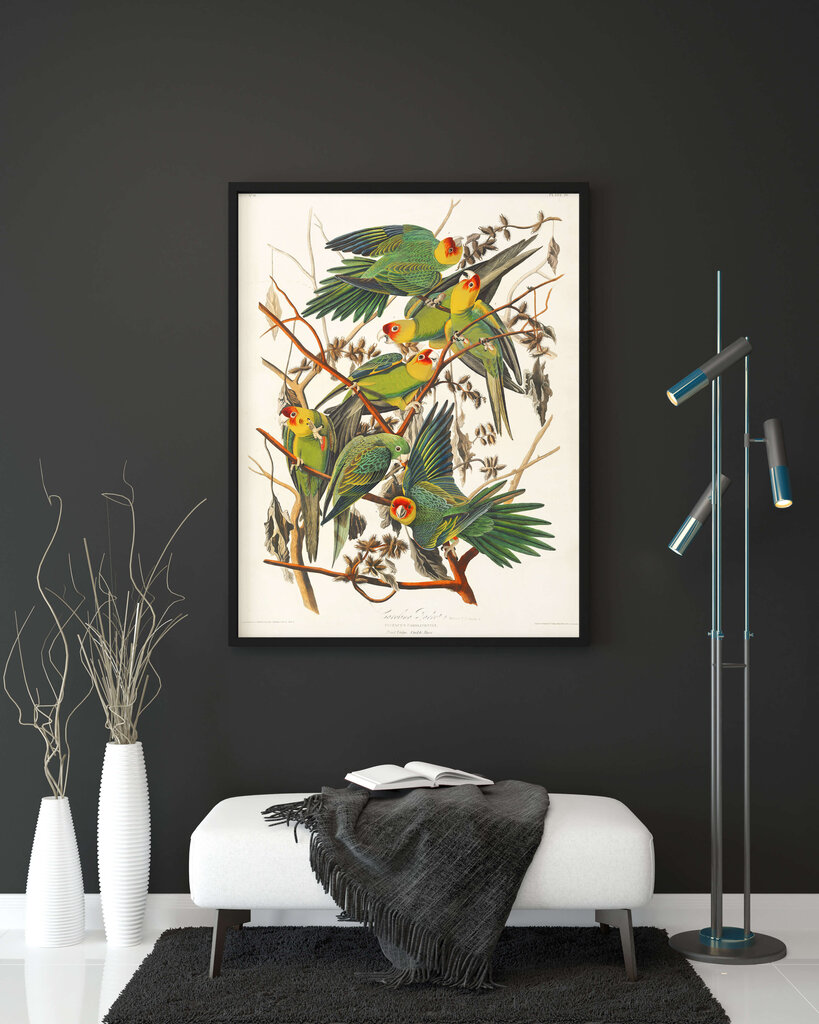 Plakat Rohelised papagoid, 42x59 cm (A2), Wolf Kult hind ja info | Seinapildid | kaup24.ee