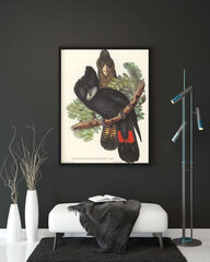 Плакат Какаду, 42x59 см (A2), Wolf Kult цена и информация | Репродукции, картины | kaup24.ee