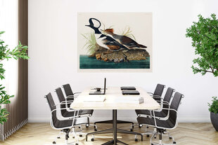 Плакат Водоплавающие птицы, 42x59 см (A2), Wolf Kult цена и информация | Репродукции, картины | kaup24.ee