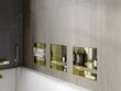 Mexen X-Wall-NR süvistatav seinariiul 2l, 30x30 cm, Gold hind ja info | Vannitoa sisustuselemendid ja aksessuaarid | kaup24.ee