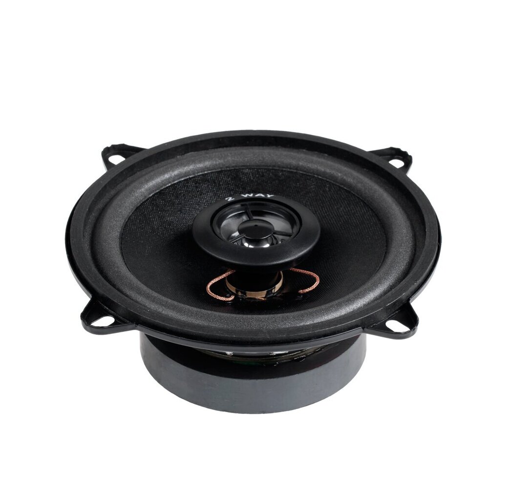 Subwoofer SAM.5"/2WAY/100 W WS-1312 TW Dibeisi цена и информация | Autokõlarid | kaup24.ee