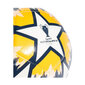 Jalgpall Adidas UCL Training St. Petersburg hind ja info | Jalgpalli pallid | kaup24.ee