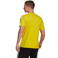 T-särk Adidas Squadra 21, kollane hind ja info | Jalgpalli varustus ja riided | kaup24.ee