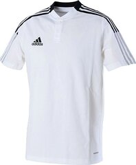 T-särk Adidas Tiro 21, valge hind ja info | Jalgpalli varustus ja riided | kaup24.ee
