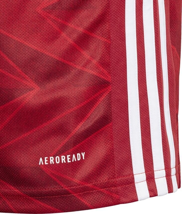 T-särk Adidas, punane hind ja info | Jalgpalli varustus ja riided | kaup24.ee