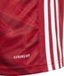 T-särk Adidas, punane hind ja info | Jalgpalli varustus ja riided | kaup24.ee