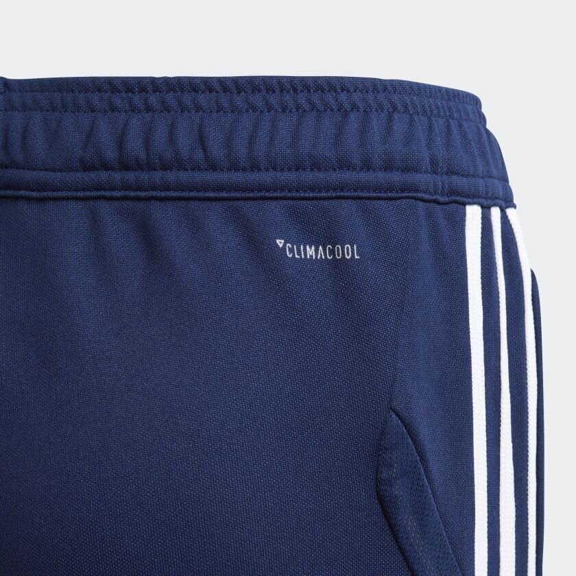 Püksid Adidas Tiro 19, sinine цена и информация | Jalgpalli varustus ja riided | kaup24.ee