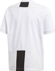 T-särk Adidas Juve, valge hind ja info | Jalgpalli varustus ja riided | kaup24.ee