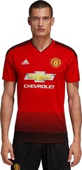 Мужская футболка Adidas Manchester United, M цена и информация | Adidas Спорт, досуг, туризм | kaup24.ee