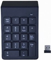 Клавиатура Gembird USB Numeric Keypad Wireless цена и информация | Клавиатура с игровой мышью 3GO COMBODRILEW2 USB ES | kaup24.ee