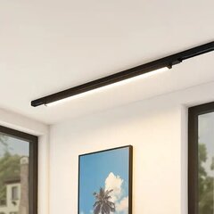 Arcchio Harlow LED лампа черная 109см 3000K цена и информация | Потолочные светильники | kaup24.ee