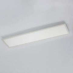 Светодиодная панель Arcchio Enja, 119,5 см x 29,5 см цена и информация | Монтируемые светильники, светодиодные панели | kaup24.ee
