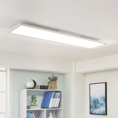 Archchio Lysander LED-paneel, CCT 119cm 36W, valge цена и информация | Монтируемые светильники, светодиодные панели | kaup24.ee
