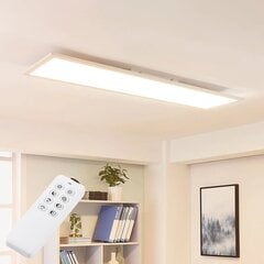 Archchio Lysander LED-paneel, CCT 119cm 58W, valge цена и информация | Монтируемые светильники, светодиодные панели | kaup24.ee