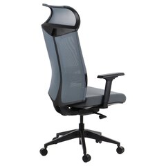 Офисное кресло A2A Ryder, серый, самобалансирующийся механизм цена и информация | Офисные кресла | kaup24.ee