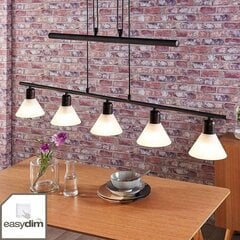 Eleasa LED rippvalgusti, easydim 5 pirni, must цена и информация | Люстры | kaup24.ee