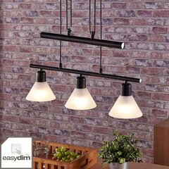Eleasa LED подвесной светильник, easydim 3 лампы, черный цена и информация | Потолочный светильник, 38 x 38 x 24 см | kaup24.ee