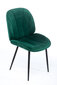2 tooli komplekt Element Amy Designer tool, roheline hind ja info | Söögitoolid, baaritoolid | kaup24.ee