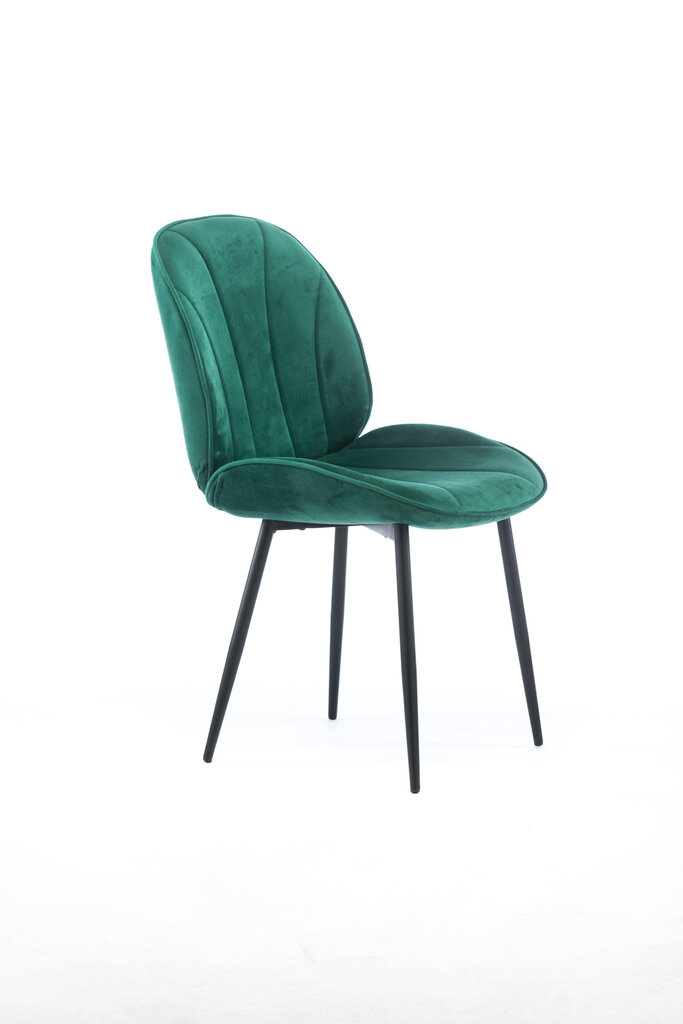 2 tooli komplekt Element Amy Designer tool, roheline hind ja info | Söögitoolid, baaritoolid | kaup24.ee