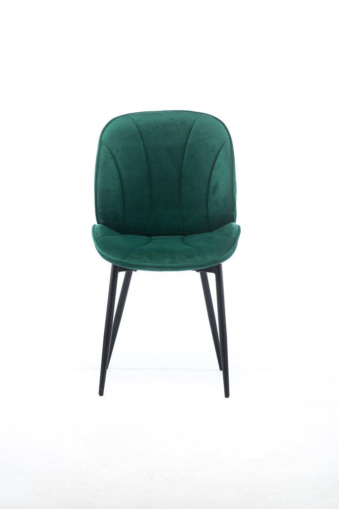 2 tooli komplekt Element Amy Designer tool, roheline hind ja info | Söögilaua toolid, köögitoolid | kaup24.ee