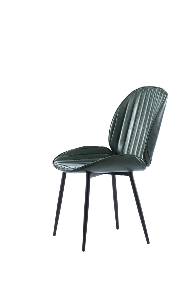 2 tooli komplekt Element Rebecca Designer chair, roheline цена и информация | Söögitoolid, baaritoolid | kaup24.ee