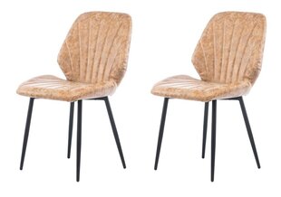 2 tooli komplekt Element Sarah Designer chair, pruun цена и информация | Стулья для кухни и столовой | kaup24.ee