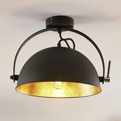 Потолочный светильник Muriel, черный/золотой цена и информация | Потолочные светильники | kaup24.ee