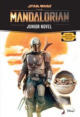 Star Wars: The Mandalorian Junior Novel цена и информация | Книги для подростков и молодежи | kaup24.ee