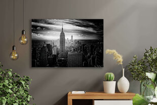 Reproduktsioon Must-valge Manhattan, 100x70 cm hind ja info | Seinapildid | kaup24.ee