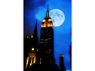 Reproduktsioon Kuuvalgus New Yorgis, 100x70 cm hind ja info | Seinapildid | kaup24.ee