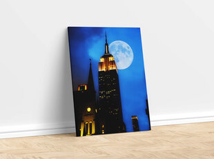 Reproduktsioon Kuuvalgus New Yorgis, 100x70 cm hind ja info | Seinapildid | kaup24.ee