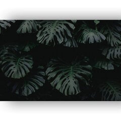 Reproduktsioon Monstera lehed, 100x70 cm hind ja info | Seinapildid | kaup24.ee