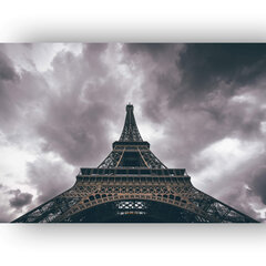 Reproduktsioon Eiffeli torn vihmas, 100x70 cm hind ja info | Seinapildid | kaup24.ee