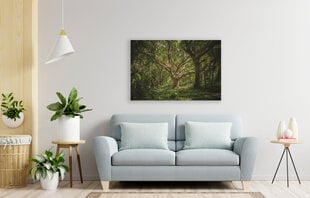 Reproduktsioon Antiikpuu, 100x70 cm hind ja info | Seinapildid | kaup24.ee