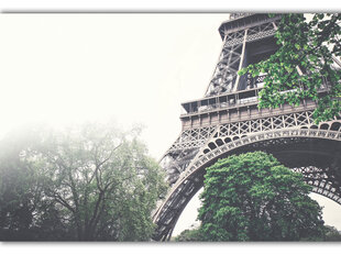 Reproduktsioon Eiffeli torn udus, 100x70 cm hind ja info | Seinapildid | kaup24.ee