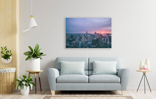 Reproduktsioon Roosa New York, 100x70 cm hind ja info | Seinapildid | kaup24.ee