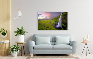 Картина Водопад, 100x70 см цена и информация | Картины, живопись | kaup24.ee