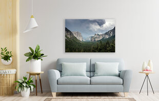 Картина Национальный парк Йосемити, 100x70 см цена и информация | Картины, живопись | kaup24.ee