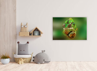 Картина Хамелеон, 100x70 см цена и информация | Картины, живопись | kaup24.ee